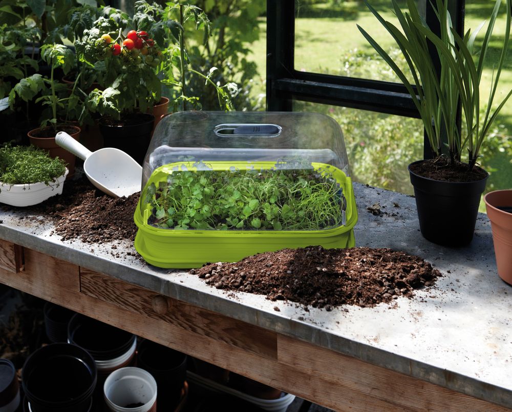 Green Basics Plateau De Culture M