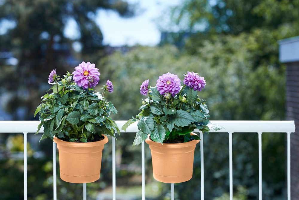 Green Basics Balconnière Poth. All-in-1