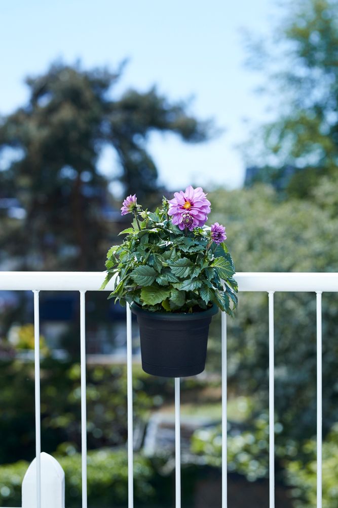 Green Basics Balconnière Poth. All-in-1
