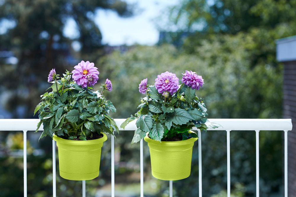 Green Basics Balconnière Poth. All-in-1