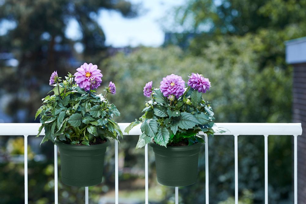 Green Basics Balconnière Poth. All-in-1