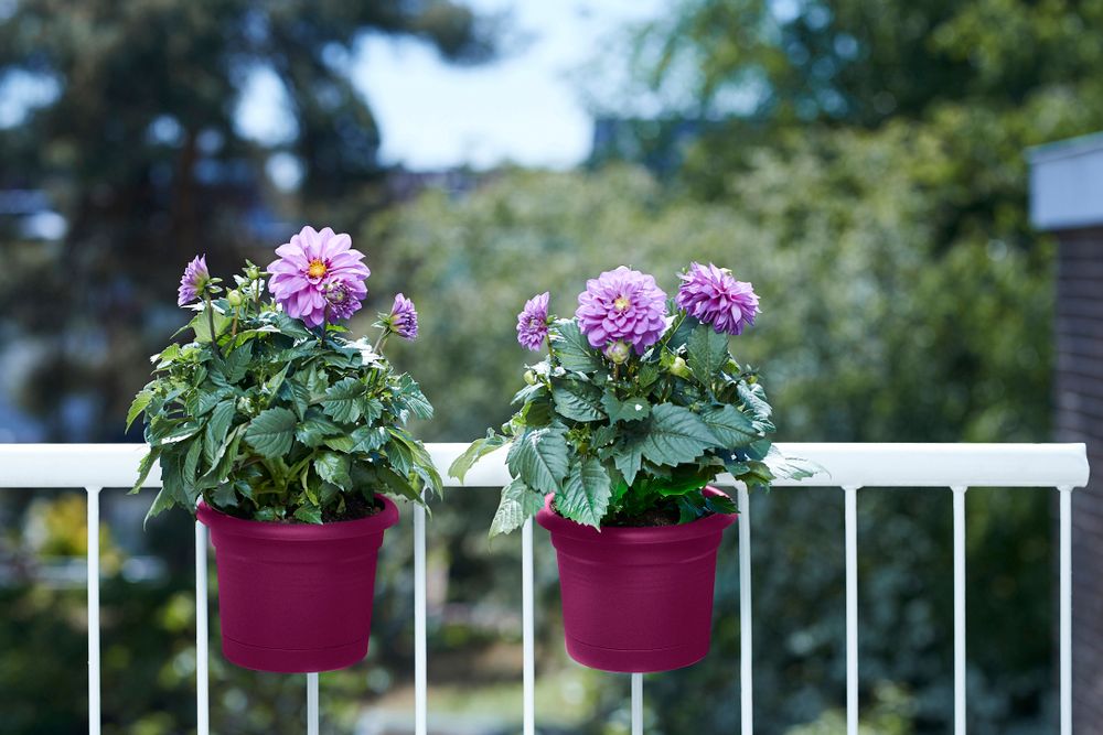Green Basics Balconnière Poth. All-in-1