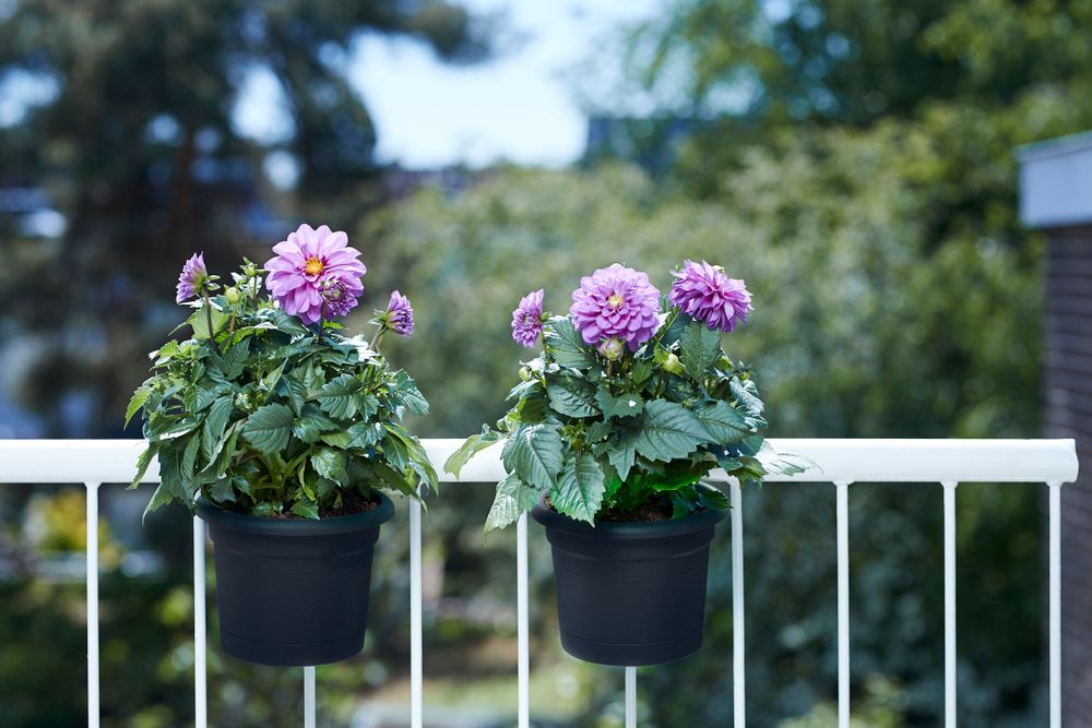 Green Basics Balconnière Poth. All-in-1