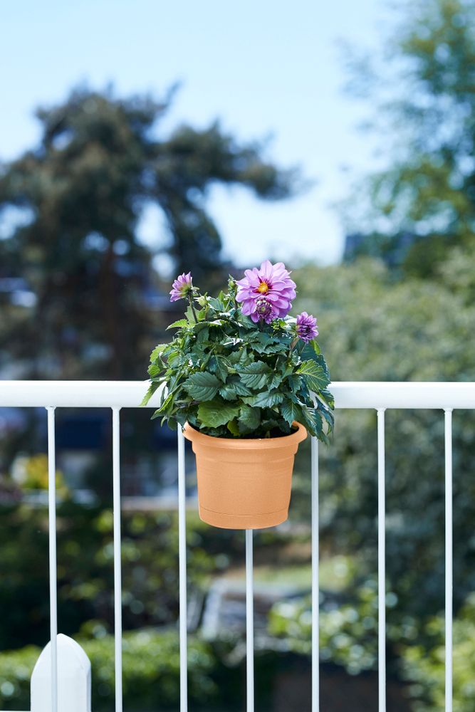 Green Basics Balconnière Poth. All-in-1