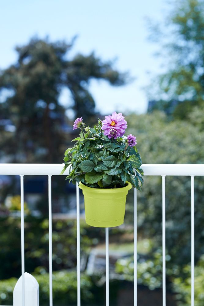 Green Basics Balconnière Poth. All-in-1