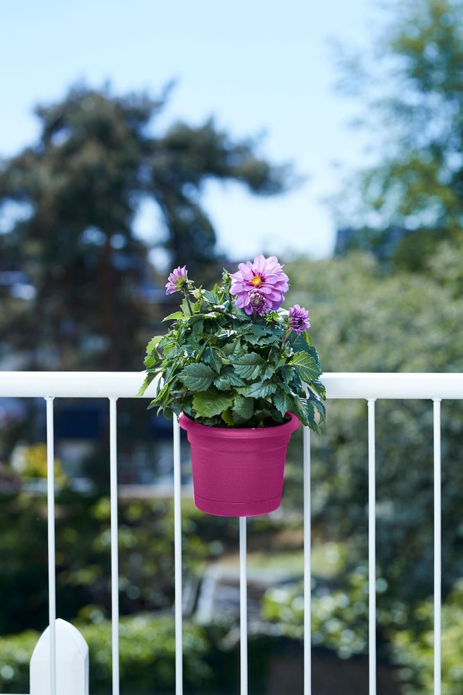 Green Basics Balconnière Poth. All-in-1