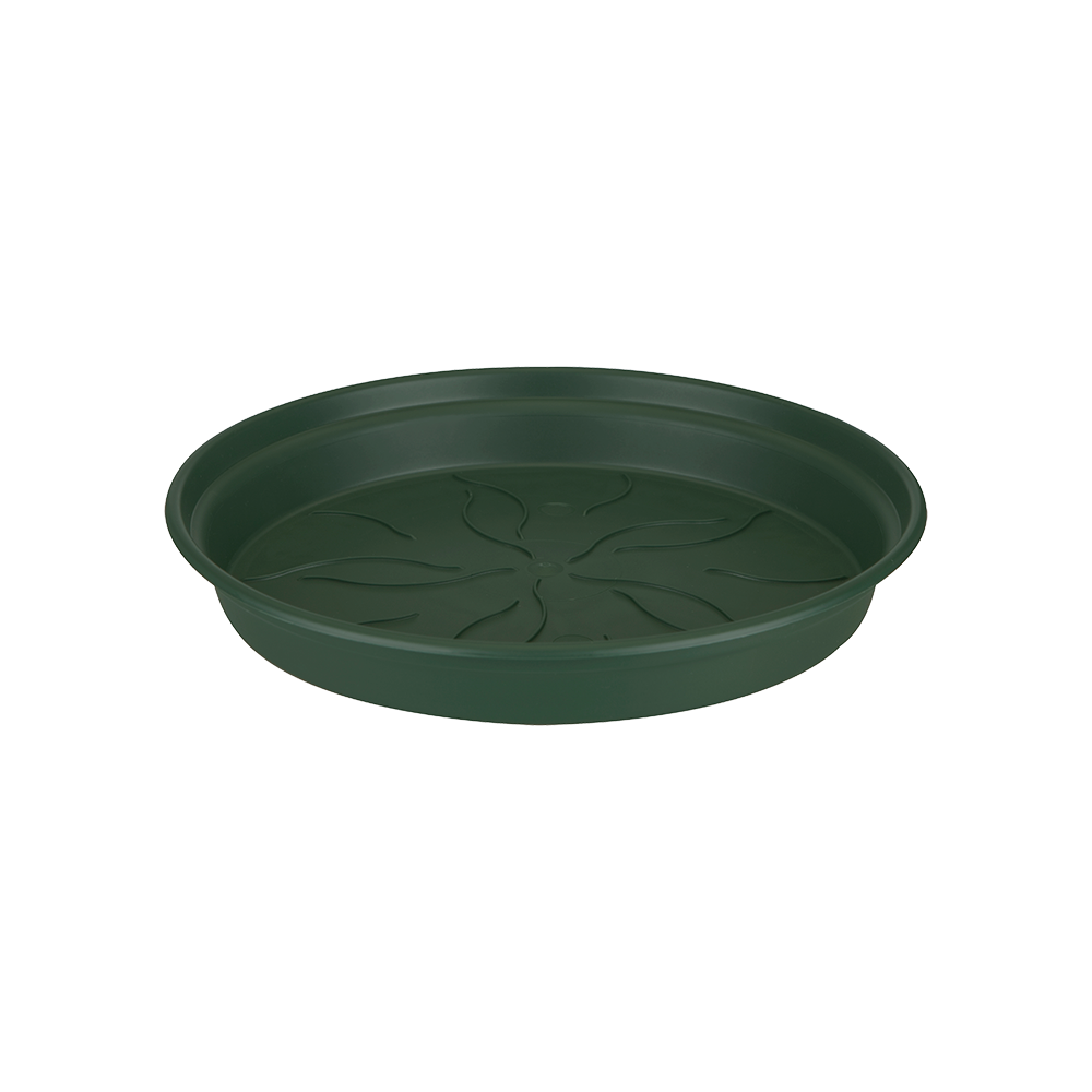 Green Basics Soucoupe 14