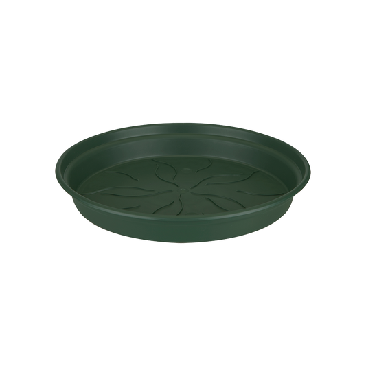 Green Basics Soucoupe 14