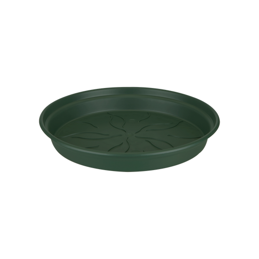 Green Basics Soucoupe 34