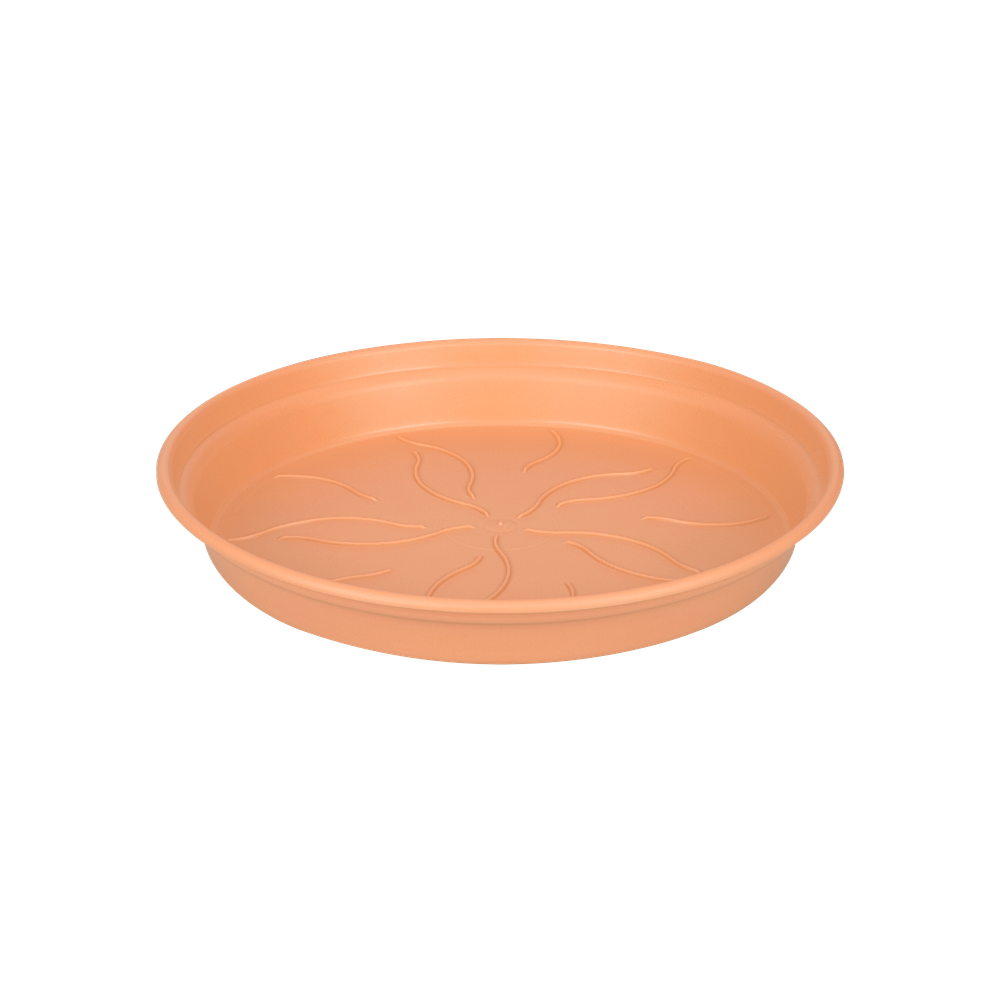 Green Basics Soucoupe 53