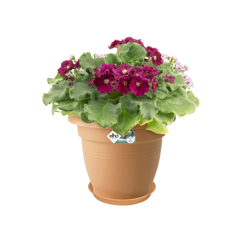 Green Basics Soucoupe 41
