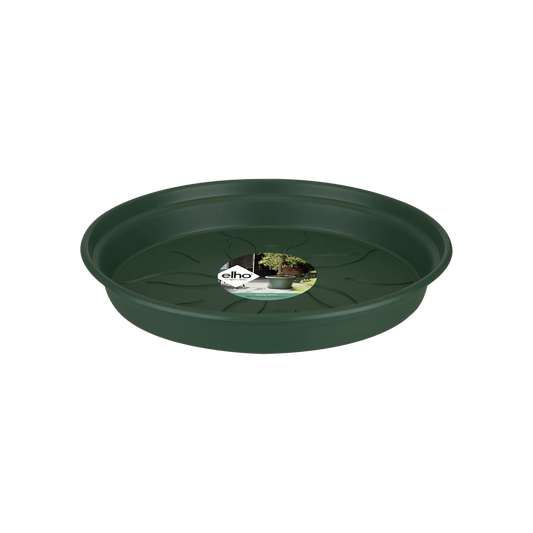 Green Basics Soucoupe 53