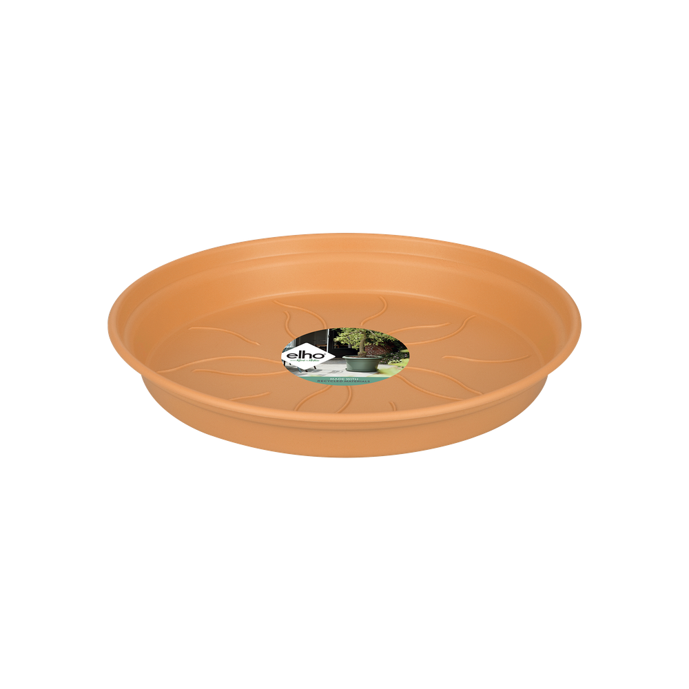 Green Basics Soucoupe 34