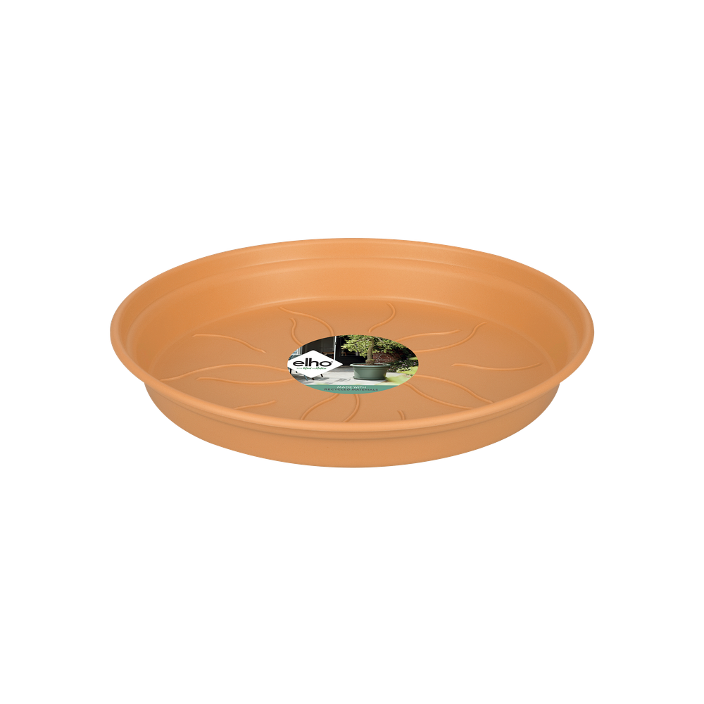 Green Basics Soucoupe 53
