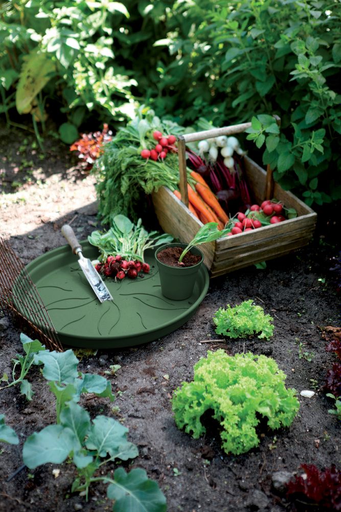 Green Basics Soucoupe 14