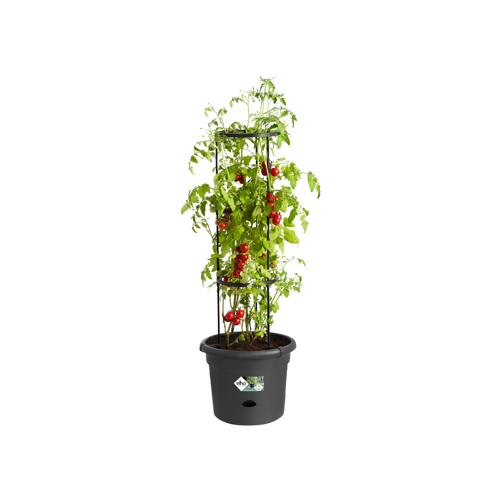 Green Basics Pot À Tomate 33