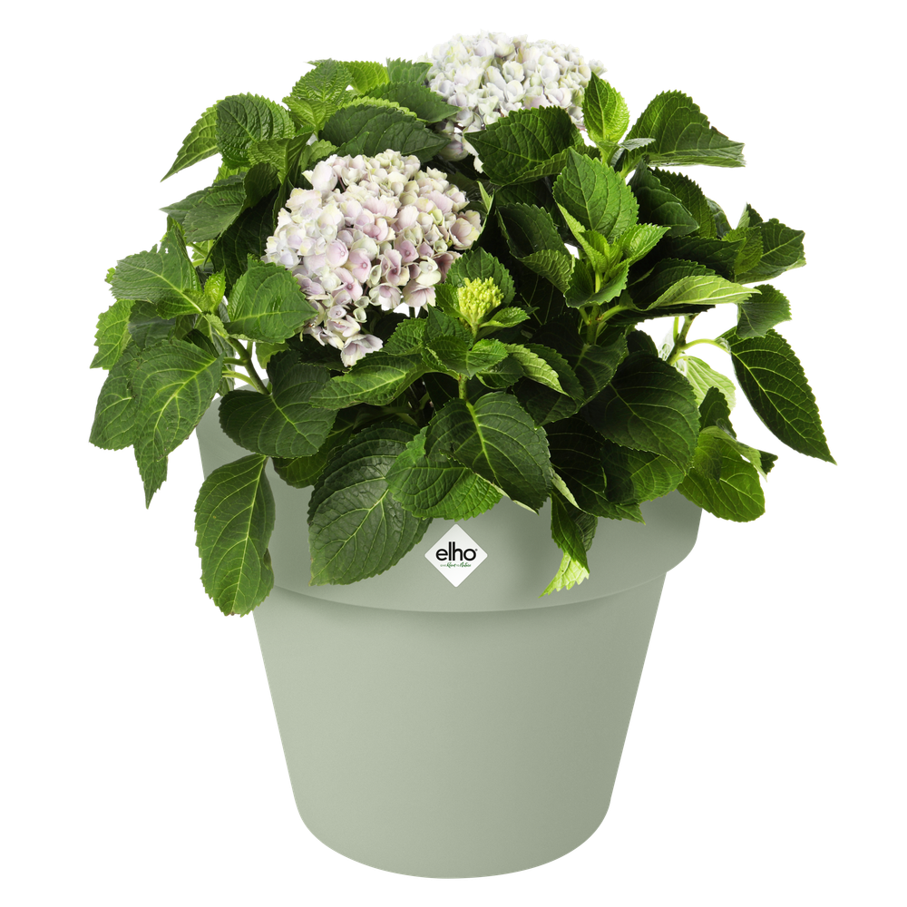 Green Basics Top Planter 30