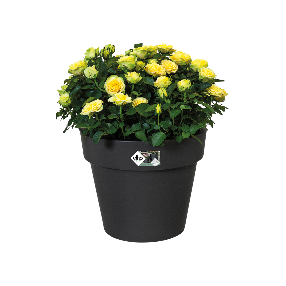 Green Basics Top Planter 30