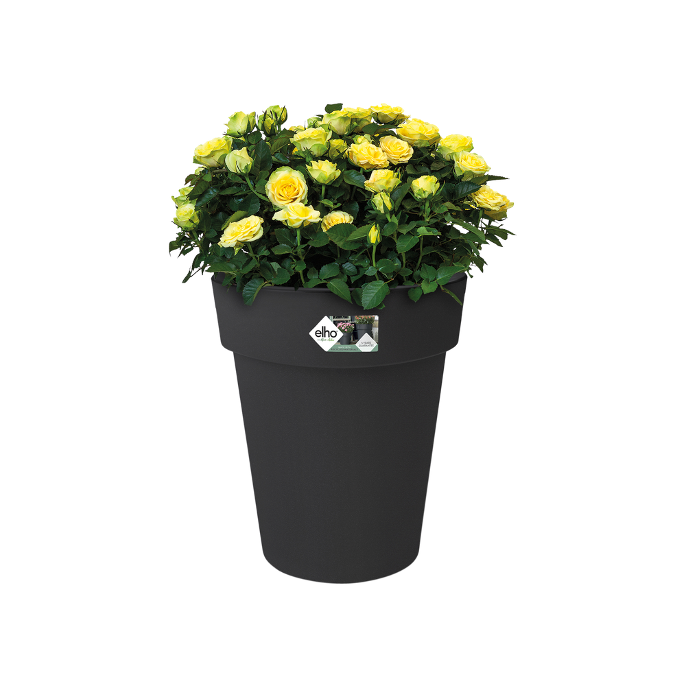 Green Basics Top Planter Haut 35