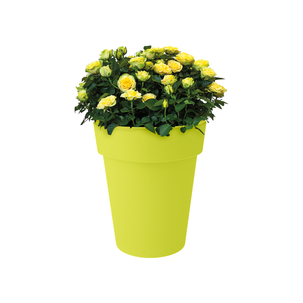 Green Basics Top Planter Haut 35