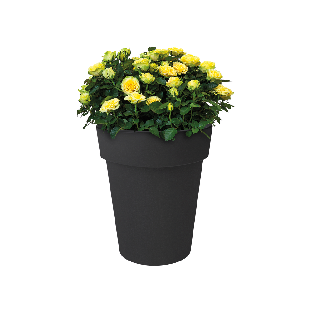 Green Basics Top Planter Haut 35