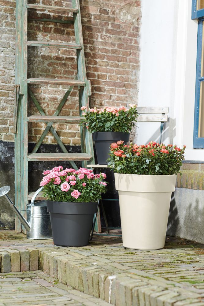 Green Basics Top Planter Haut 35