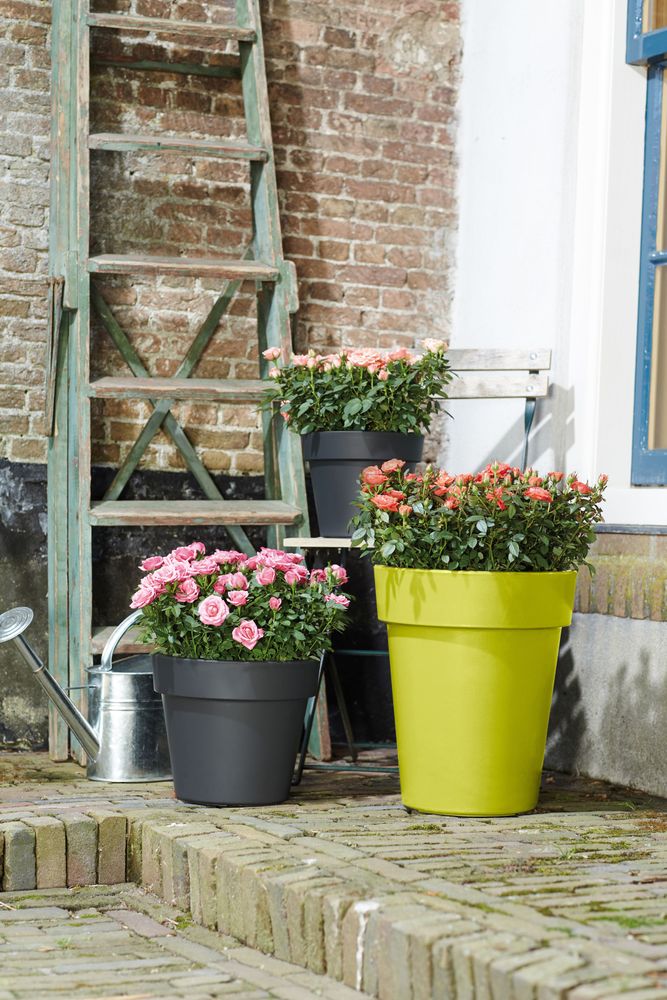 Green Basics Top Planter Haut 35