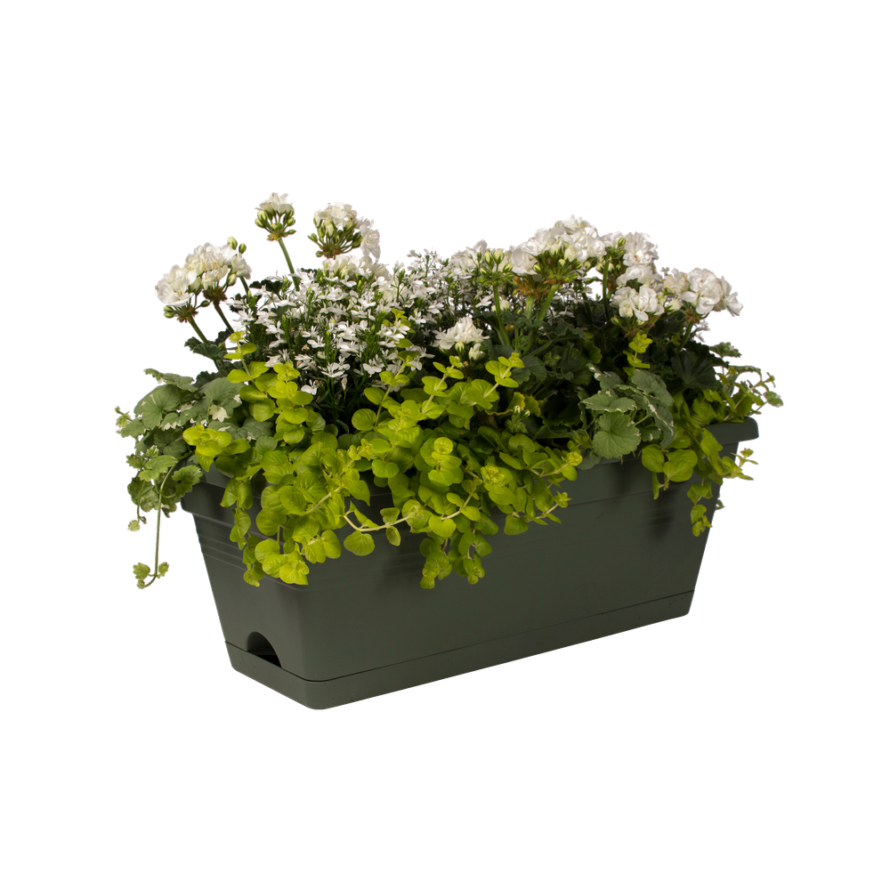 Green Basics Balconnière Xl Allin1 55