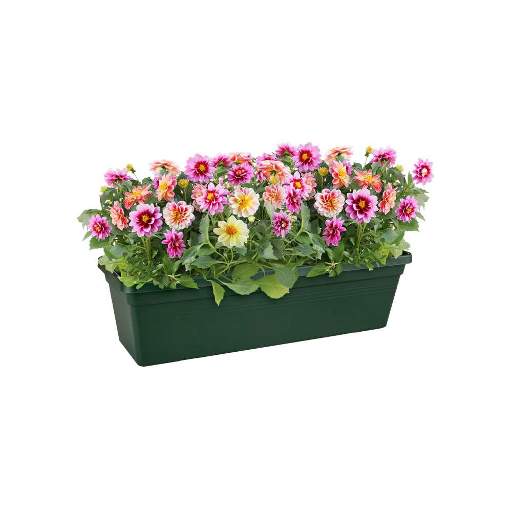 Green Basics Balconnière 50