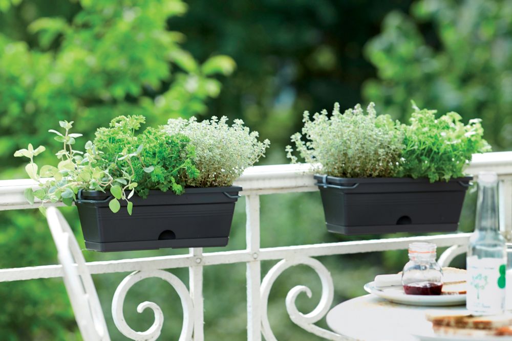 Green Basics Balconnière Mini 30