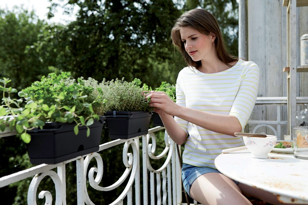 Green Basics Balconnière Mini 30