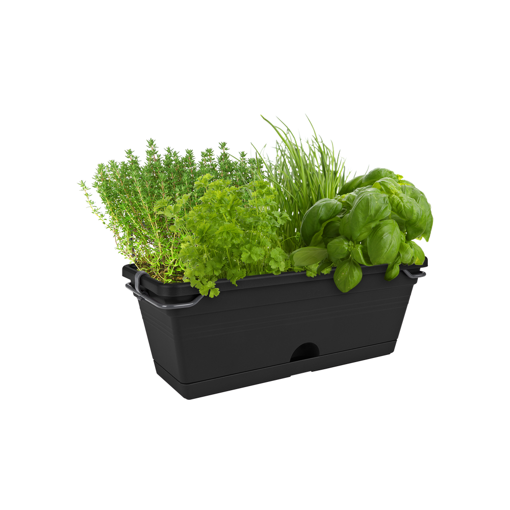 Green Basics Balcon Mini Allin1 30