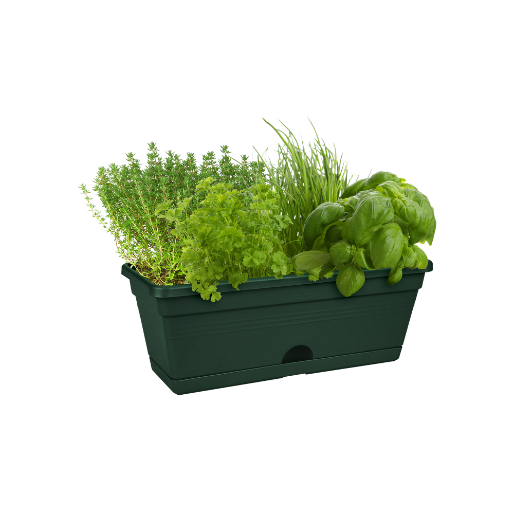 Green Basics Balconnière Mini 30