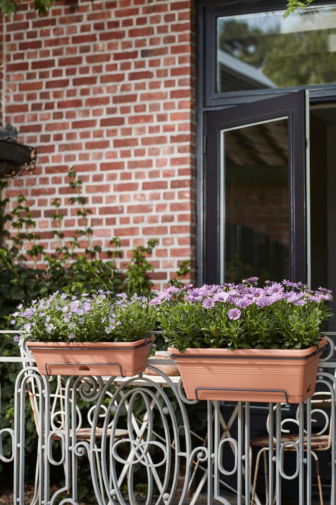 Green Basics Balconnière Xl Allin1 55