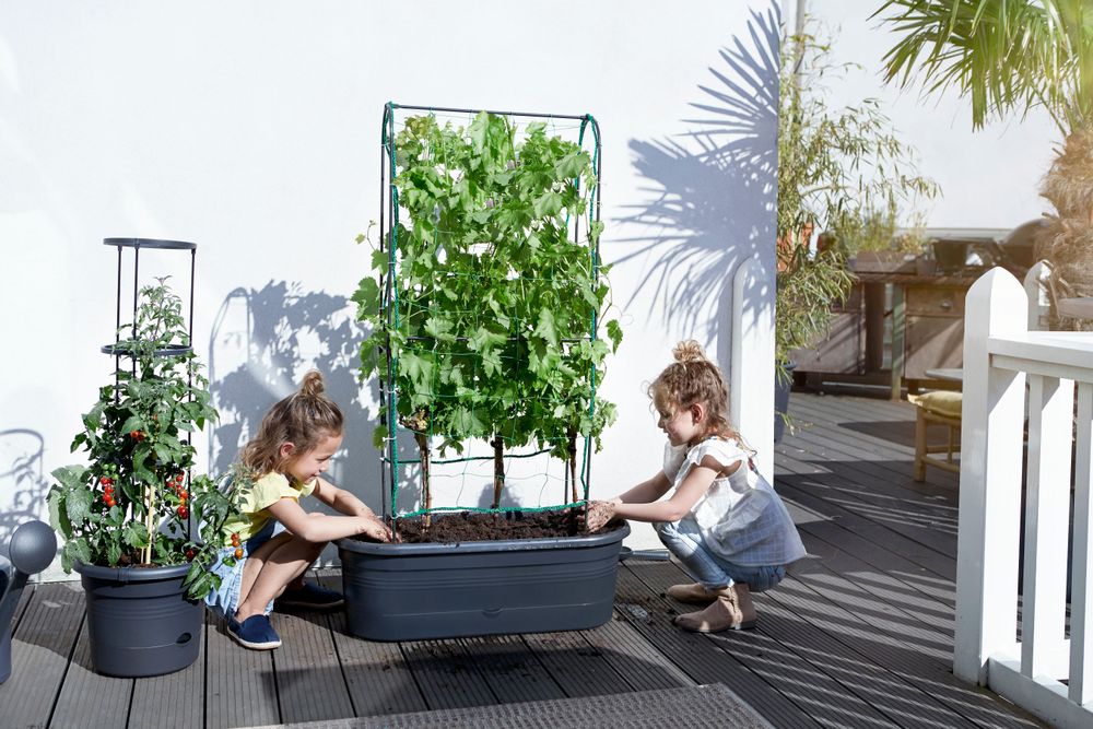 Green Basics Jardiniere Treillis 80