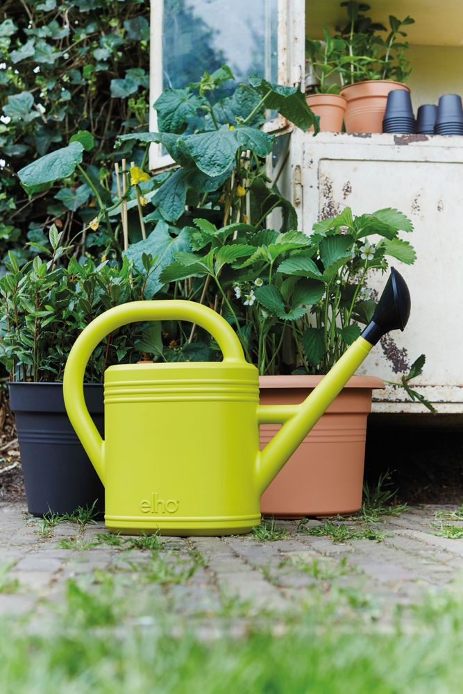 Green Basics Arrosoir 10ltr