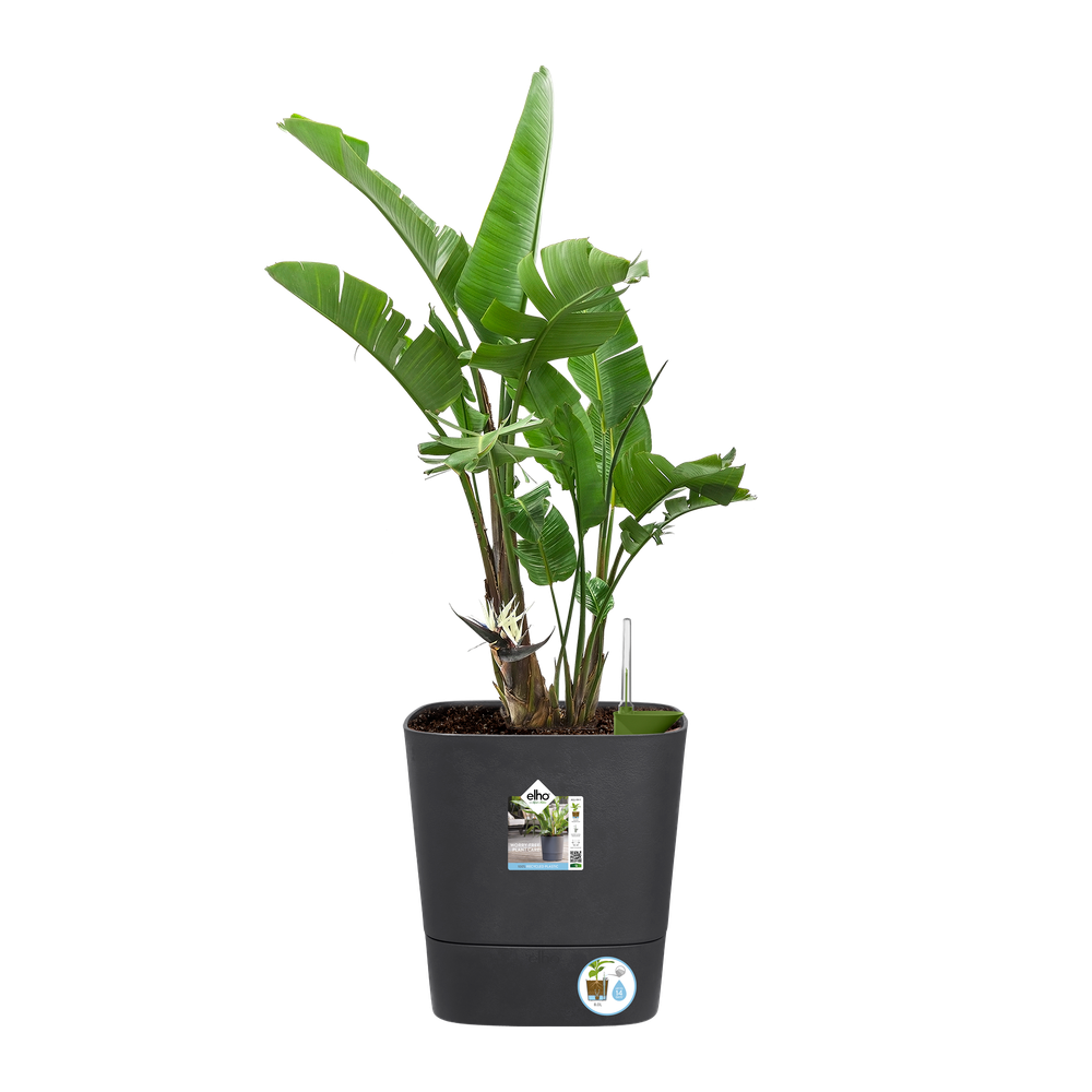 Greensense Aqua Care Carré 38