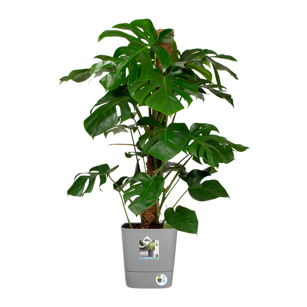 Greensense Aqua Care Carré 30