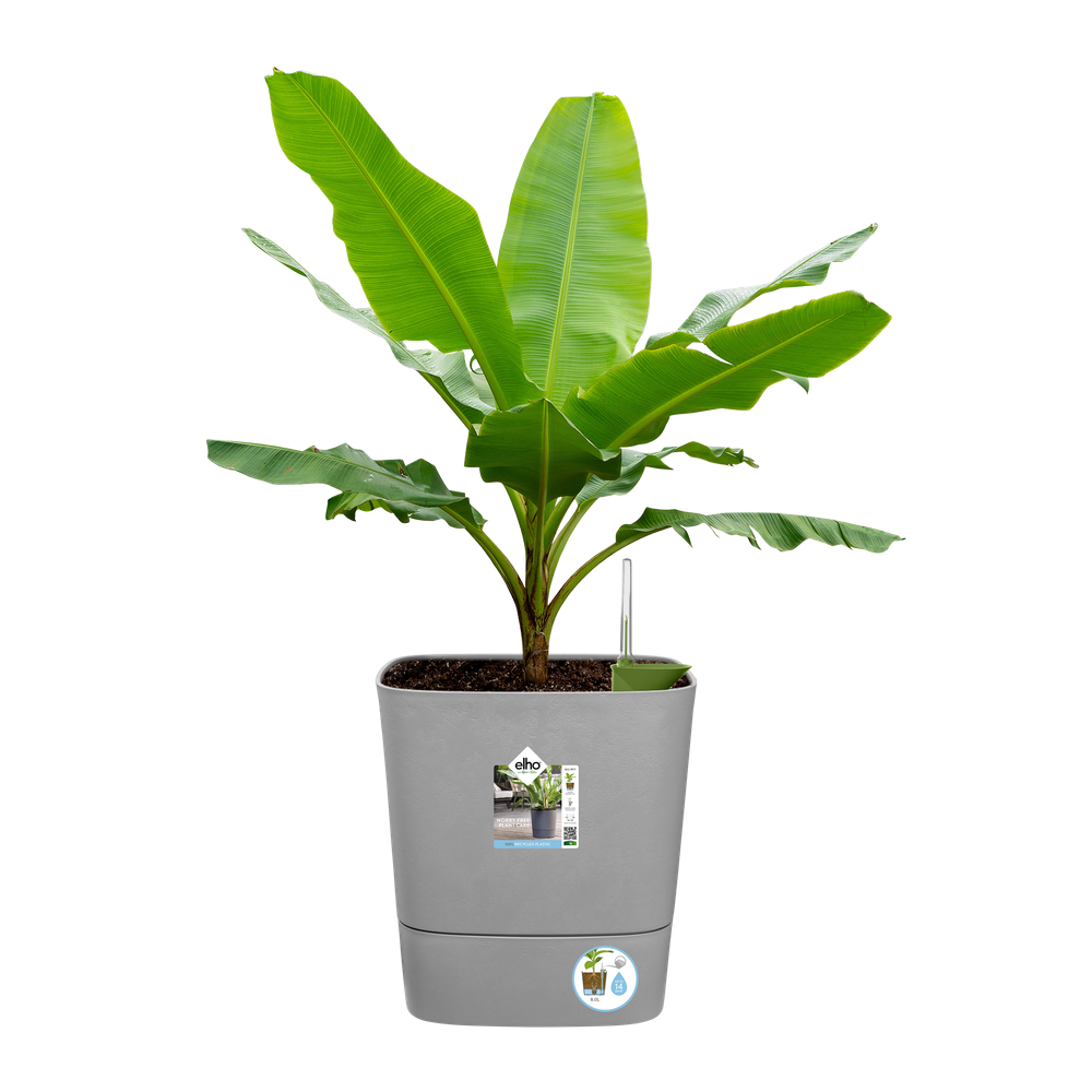 Greensense Aqua Care Carré 38