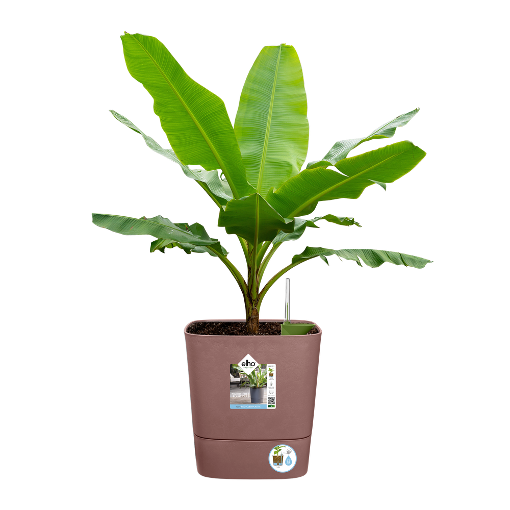 Greensense Aqua Care Carré 30
