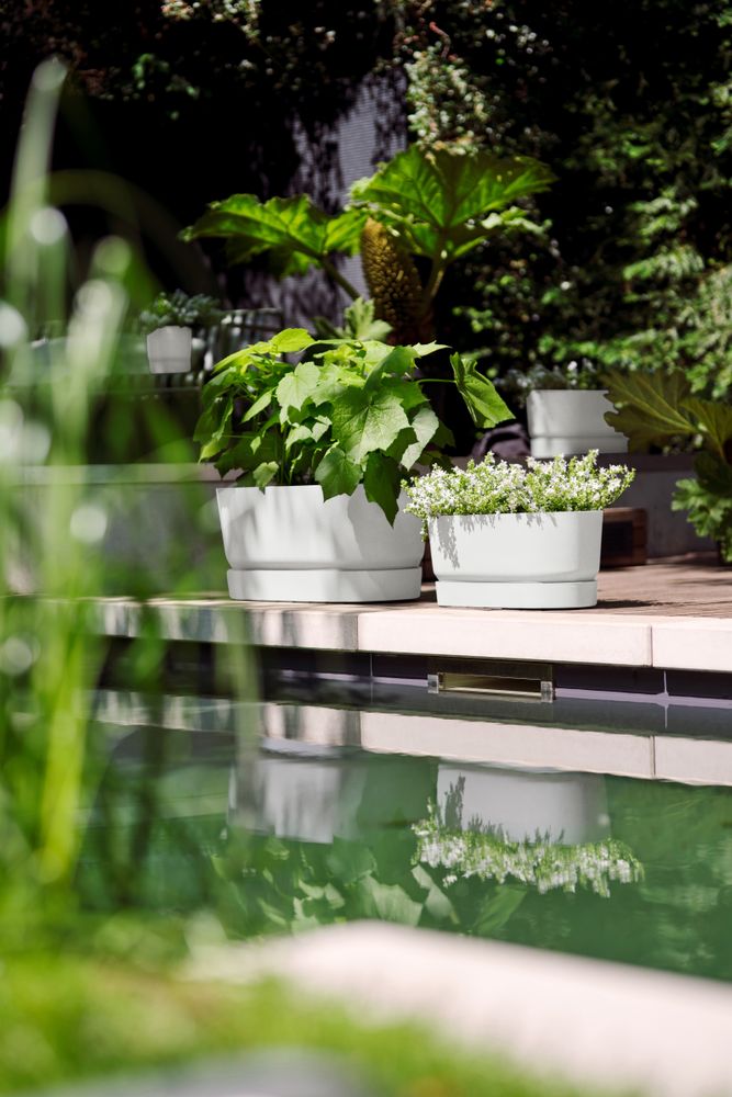 Greenville Terrase 60 Roues