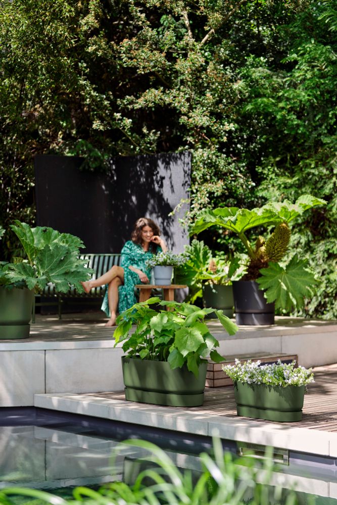 Greenville Terrase 60 Roues