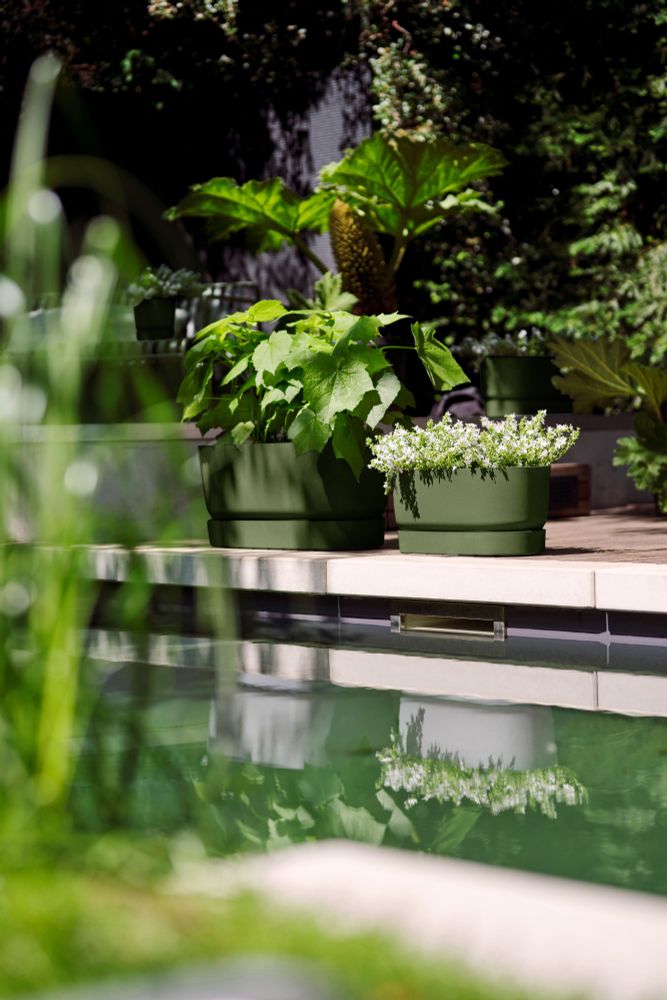 Greenville Terrase 60 Roues
