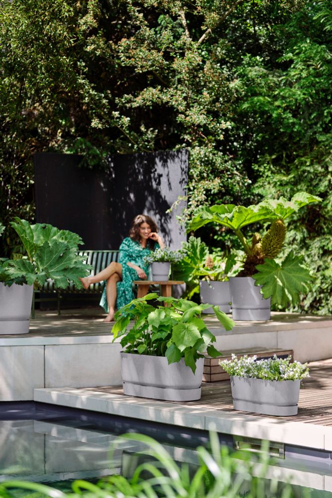 Greenville Terrase 60 Roues
