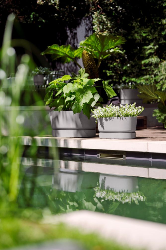 Greenville Terrase 60 Roues