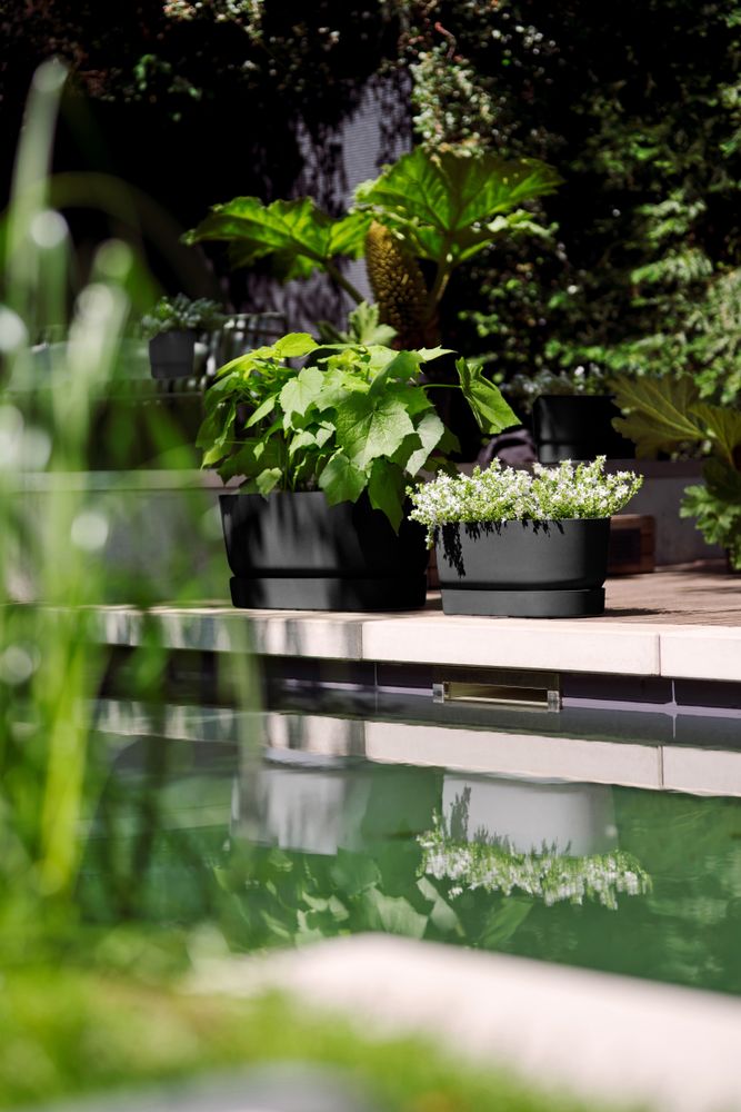 Greenville Terrase 60 Roues