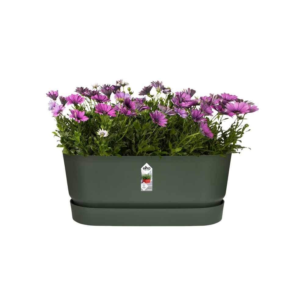 Greenville Terrase 60 Roues