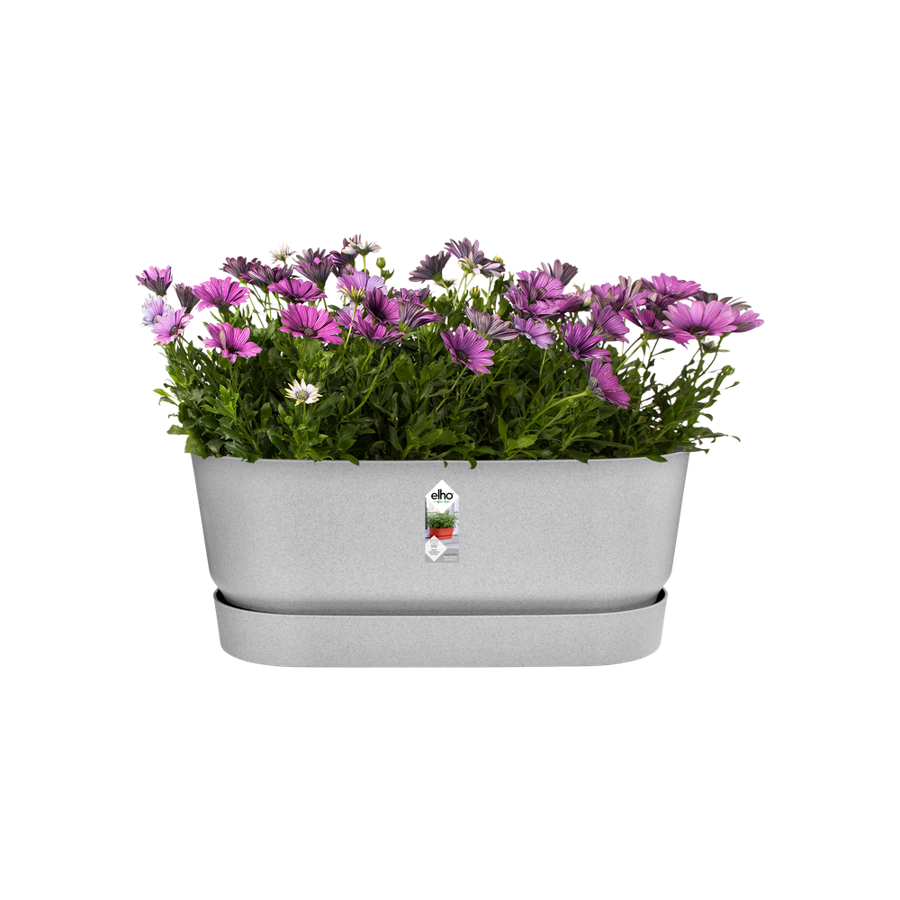 Greenville Terrase 60 Roues