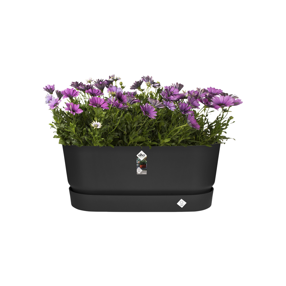Greenville Terrase 60 Roues