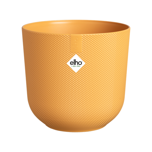 Jazz Rond Mini 9